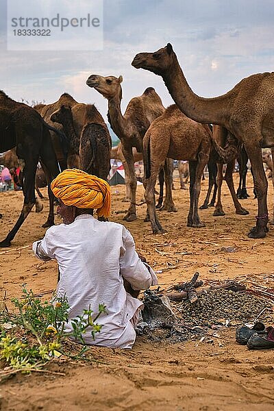 Ein indischer Dorfbewohner und seine Kamele auf der Pushkar-Kamelmesse (Pushkar Mela)  einer der größten Kamelmessen und Touristenattraktion der Welt  Pushkar  Indien  Asien