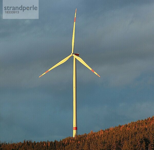 Windkraftanlage in einem Wald im Abendlicht  Bayern  Deutschland  Europa