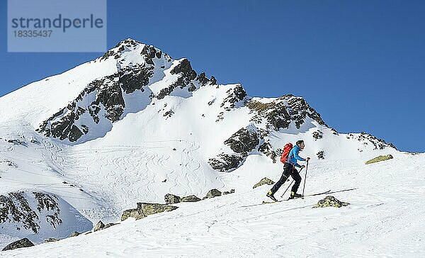 Skitourengeher bei gutem Wetter  Stubaier Alpen  Berge im Winter  Kühtai  Tirol  Österreich  Europa