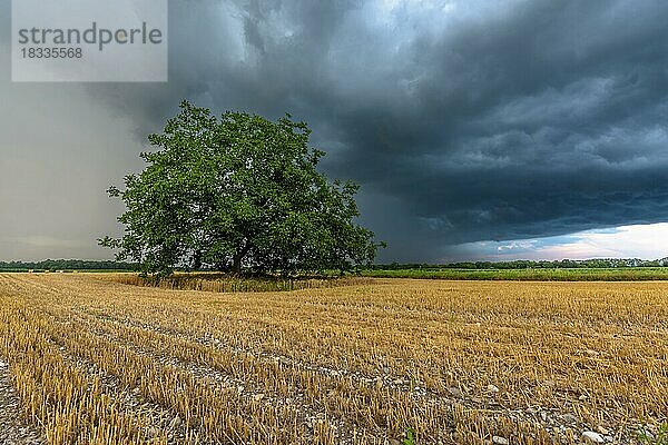 Stormy sky over cultivated plain in summer. Elsass  Frankreich  Europa