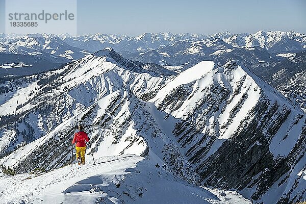 Skitourengeherin am Gipfel  Berge im Winter  Sonntagshorn  Chiemgauer Alpen  Bayern  Deutschland  Europa