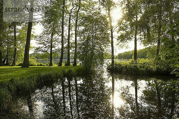 Schaalsee bei Seedorf  UNESCO Biosphärenreservat Schaalsee  Lauenburgische Seen  Schleswig-Holstein  Deutschland  Europa