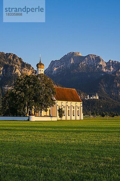 Wallfahrtskirche St. Coloman  dahinter Schloss Neuschwanstein  Schwangau  bei Füssen  und der Säuling  2047m  Allgäu  Bayern  Deutschland  Europa