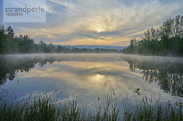 See  Nebel  Sonnenaufgang  Frühling  Mondfeld  Wertheim  Main-Tauber-Kreis  Baden-Württemberg  Deutschland  Europa