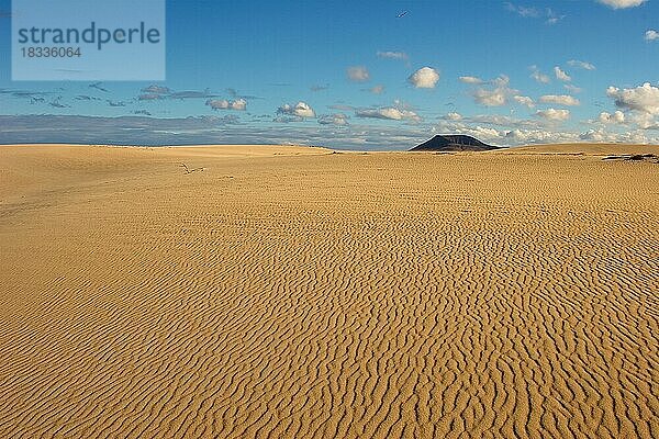 Gelbe Sandwüste  wellenartige Strukturen im Sand  blauer Himmel  grau-weiße Wolken  dunkler Hügel  Nordostküste  Dünengebiet  El Jable  Naturschutzgebiet  Fuerteventura  Kanarische Inseln  Spanien  Europa