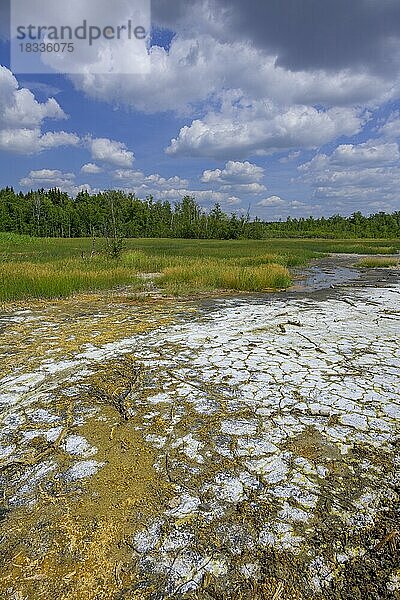 Sooser Mineralmoor  Skalná  Karlovarský kraj  Tschechien  Europa