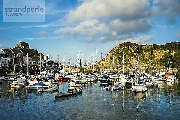 Bootshafen von Iifracombe  North Devon  England  Großbritannien  Europa