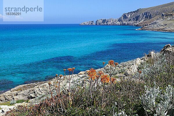 Küstenlandschaft bei der Cala Mesquida  Mallorca  Balearen  Spanien  Europa