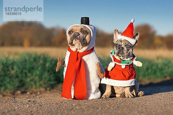 Paar erwachsene Hunde und Welpen Französische Bulldogge mit lustigen Schneemann und Weihnachtsmann Weihnachtskostüme gekleidet