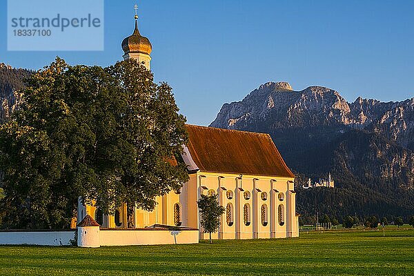 Wallfahrtskirche St. Coloman  dahinter Schloss Neuschwanstein  Schwangau  bei Füssen  und der Säuling  2047m  Allgäu  Bayern  Deutschland  Europa