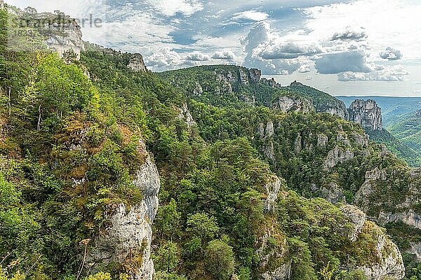 Gorges of Tarn gesehen vom Wanderweg auf den Felsvorsprüngen des Causse Mejean über der Tarnschlucht. La bourgarie  Lozere  Frankreich  Europa
