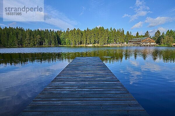 Holzsteg  Fichtelsee  Frühling  Fichtelberg  Fichtelgebirge  Bayern  Deutschland  Europa