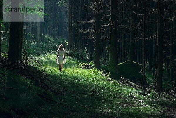 Schöne junge Frau in elegantem weißen Kleid steht im Wald mit Sonnenstrahlen durch die Blätter der Bäume strahlen