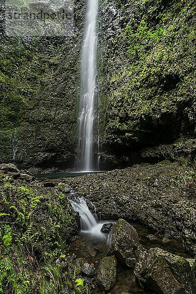 Wasserfall Caldeirão Verde am PR9 Levada do Caldeirão Verde  Madeira  Portugal  Europa