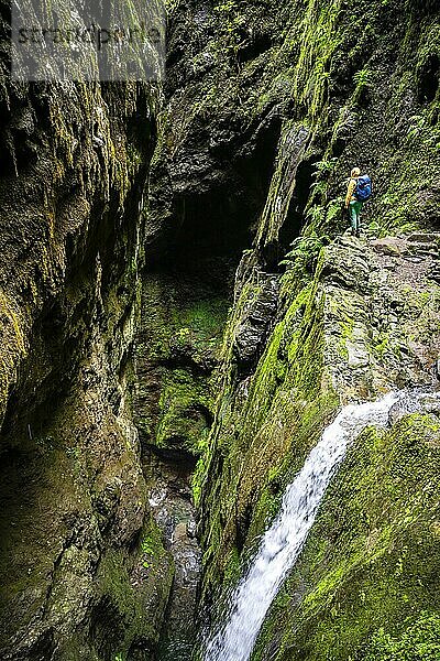 Abenteuer in der Natur  Wanderin in einer Klamm am PR9 Levada do Caldeirão Verde  Madeira  Portugal  Europa