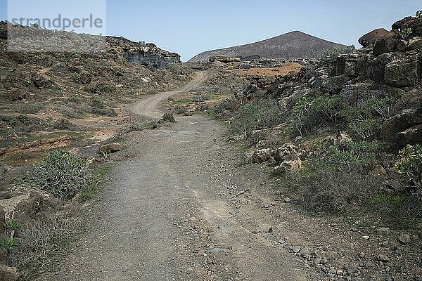 Felsenlandschaft rund um den Vulkan Montana de Guenia  Stratified City  Lanzarote  Kanaren  Spanien  Europa