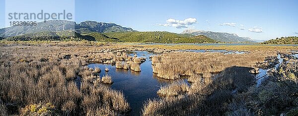 Sumpfgebiet Psiftas  Psifäischer See  ??? ??????????  Vogelbeobachtungsgebiet  Griechenland  Europa