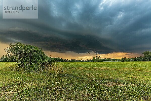 Arge Sturmzelle in einem stürmischen Himmel über einer Wiese im Sommer. Elsass  Frankreich  Europa