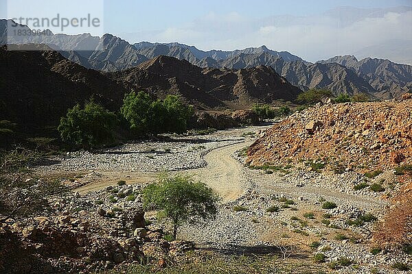 Wadi am Al-Jabal al Akhdar  Region Batinah  Oman  Asien