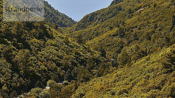 Grüne Berglandschaft  Wald  Stück blauer Himmel  Insel Lefkada  Lefkas  Ionische Inseln  Griechenland  Europa