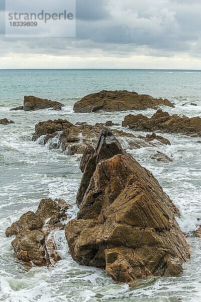 Mit Muscheln bedeckte Felsen an der Atlantikküste. Sables d'Olonne  Vendee Frankreich