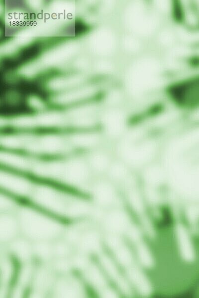 Abstrakter vertikaler grüner Hintergrund mit Schatten von Palmenblättern