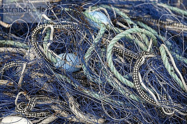 Blaues Fischernetz mit Taue und Schwimmer  Bretagne  Frankreich  Europa