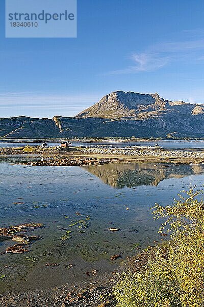 Felsiger Berg spiegelt im Wasser  Fjord bei Ebbe  Offersöy  FV 17  Kystriksveien  Nordland  Norwegen  Europa