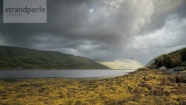 Typische Landschaft in den Highlands  Schottland  Großbritannien  Europa