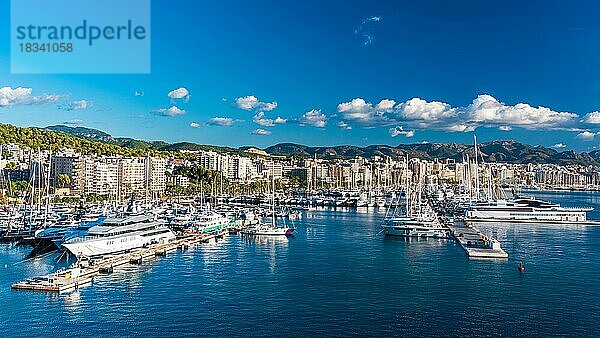 Yachthafen von Palma De Mallorca  Spanien  Europa