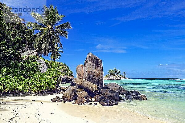 Kokospalmen und Granitfelsen am Traumstrand Anse Royal  Insel Mahe  Seychellen  Afrika