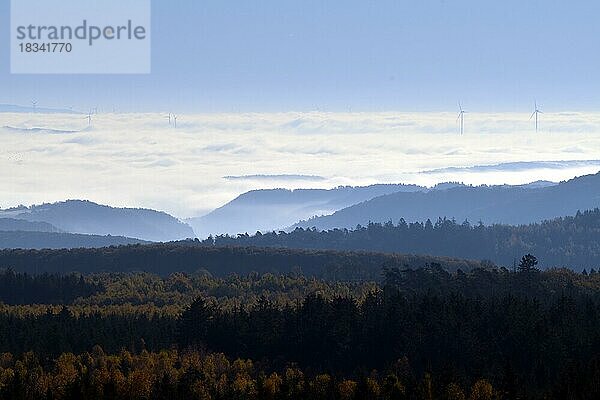 Ausblick vom Berg Mörschieder Burr im Nationalpark Hunsrück-Hochwald über Naheland und Nordpflälzer Bergland an einem nebligen Herbstmorgen  Hunsrück  Rheinland-Pfalz  Deutschland  Europa