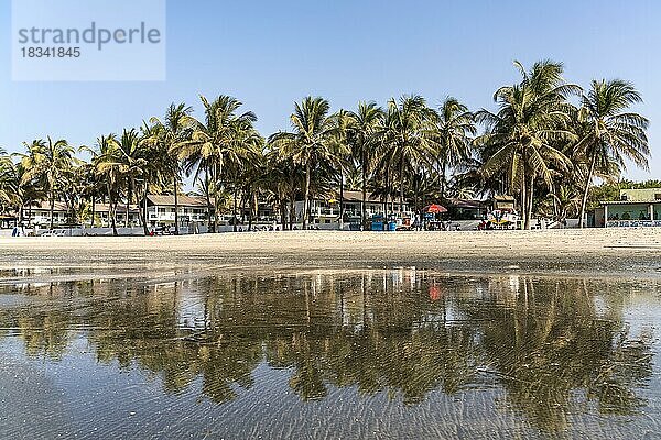 Palmen am Strand von Kotu spiegeln sich bei Ebbe im flachen Wasser  Kotu  Kanifing  Serekunda  Gambia  Westafrika  Afrika