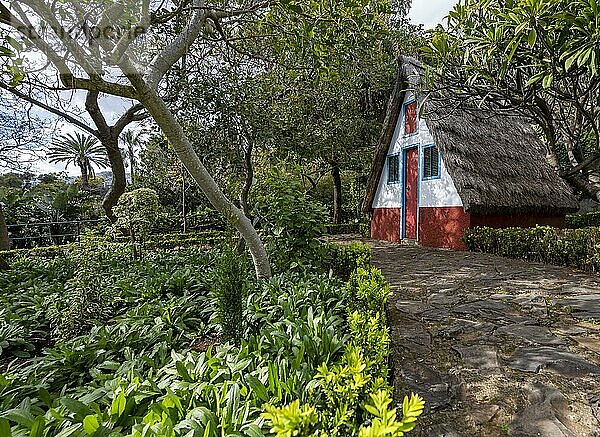 Casas de Colmo  traditionelles strohgedecktes Haus  Botanischer Garten  Jardim Botanico  Funchal  Madeira  Portugal  Europa