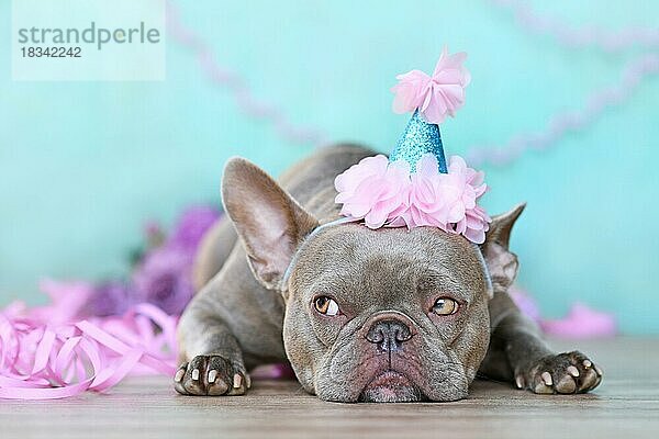 Party-Hund. Französische Bulldogge mit niedlichen Geburtstag Hut neben lila Luftschlangen vor blauem Hintergrund