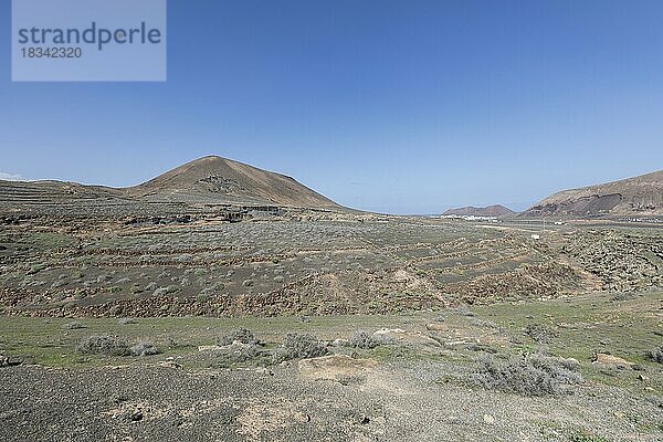 Felsenlandschaft rund um den Vulkan Montana de Guenia  Stratified City  Lanzarote  Kanaren  Spanien  Europa