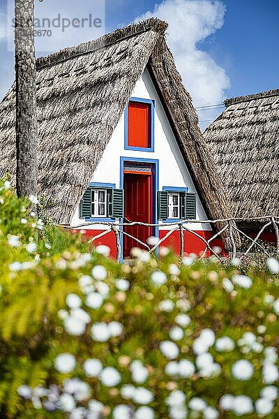 Traditionelles strohgedecktes Haus in Santana  Casa de Colmo  Insel Madeira  Portugal  Europa