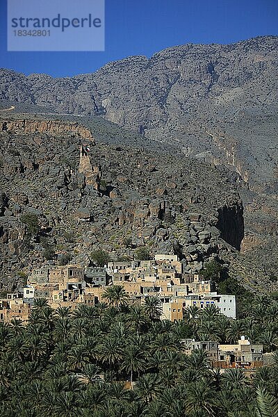 Al-Hamra ist eine der vielen interessanten Oasen mit einem alten Lehmteil mit roten Häusern auf Steinfundamenten. Hier der Ortsteil Misfah der am steilen Berghang liegt  Oman  Asien