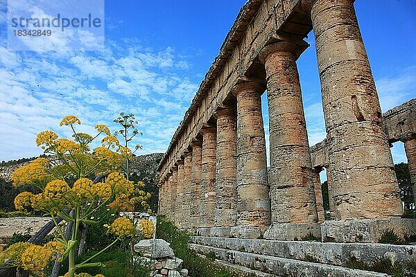 Tempel der Hera  Hera-Tempel in der ehemaligen antiken Stadt Segesta  der Provinz Trapani  Sizilien  Italien  Europa