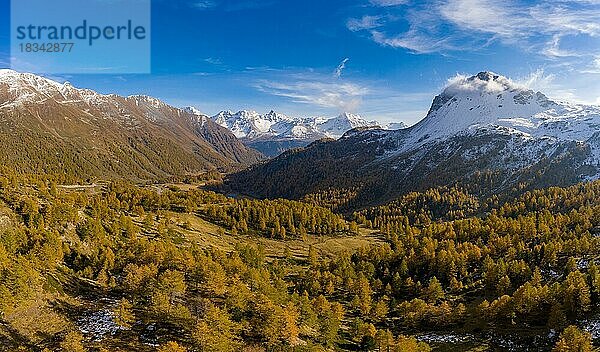 Luftaufnahme über dem Val Poschiavo mit seinen Lärchenwäldern im Herbstkleid  Kanton Graubünden  Schweiz  Europa