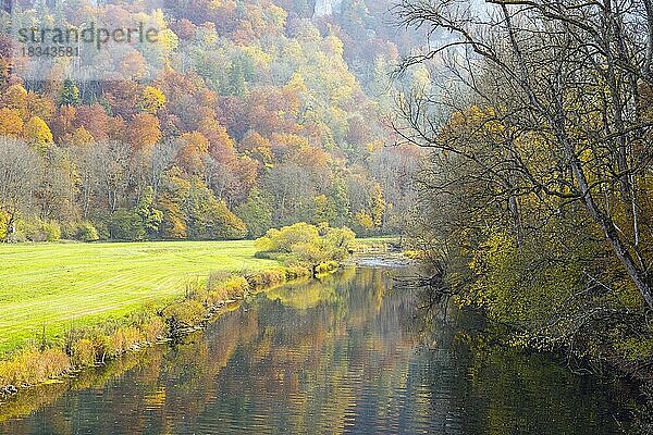 Naturpark Obere Donau im Herbst  Schwäbische Alb  Baden-Württemberg  Deutschland  Europa