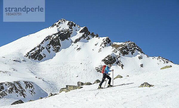 Skitourengeher bei gutem Wetter  Stubaier Alpen  Berge im Winter  Kühtai  Tirol  Österreich  Europa