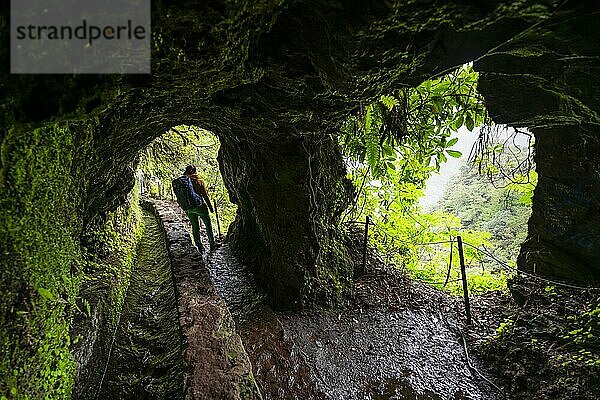 Wanderin in einem Tunnel am PR9 Levada do Caldeirão Verde  Madeira  Portugal  Europa