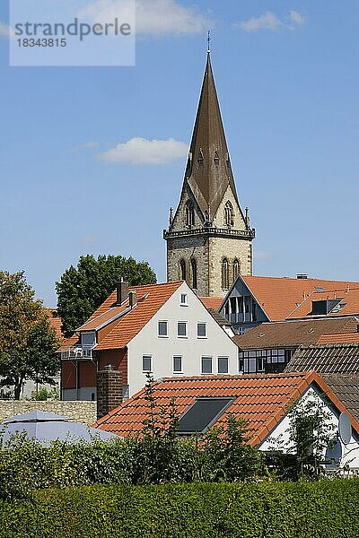 Katholische Pfarrkirche St. Johannes Baptista  Neustadtkirche  Neustadt  Warburg  Nordrhein-Westfalen  Deutschland  Europa