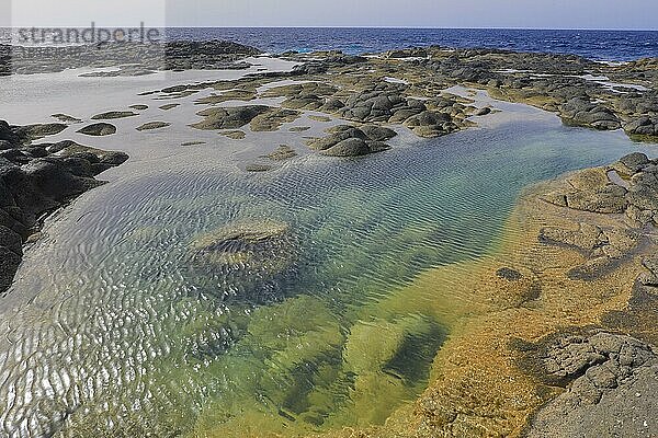 Natürliche Felsenpools am Meer  Piscinas Naturales  Lanzarote  Kanaren  Spanien  Europa