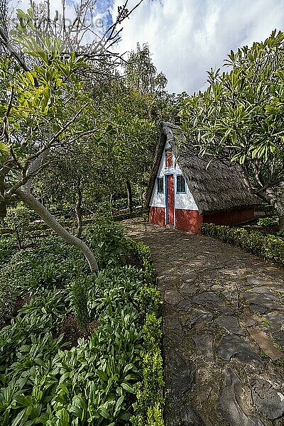 Casas de Colmo  traditionelles strohgedecktes Haus  Botanischer Garten  Jardim Botanico  Funchal  Madeira  Portugal  Europa