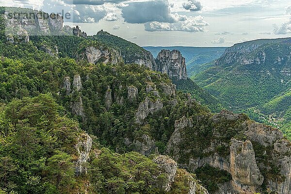 Gorges of Tarn gesehen vom Wanderweg auf den Felsvorsprüngen des Causse Mejean über der Tarnschlucht. La bourgarie  Lozere  Frankreich  Europa