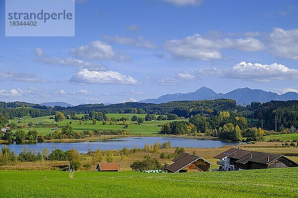 Froschhauser See bei Froschhausen  Pfaffenwinkel  Oberbayern  Bayern  Deutschland  Europa