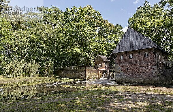 Historische Haarmühle  Wassermühle aus dem Jahr 1619  Ahaus-Alstätte  Münsterland  Nordrhein-Westfalen  Deutschland  Europa