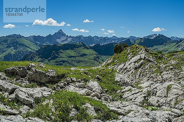 Koblat-Höhenweg am Nebelhorn  dahinter der Hochvogel  2592m  Allgäuer Alpen  Allgäu  Bayern  Deutschland  Europa